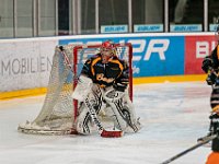 DSC03538-1500