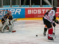 DSC03554-1500