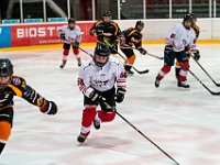 DSC03557-1500