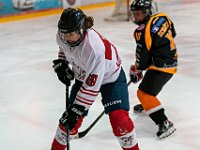 DSC03559-1500