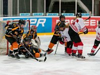 DSC03577-1500