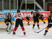 DSC03590-1500