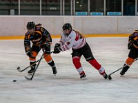 DSC03591-1500