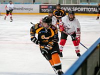 DSC03602-1500