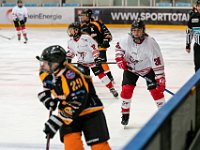 DSC03604-1500