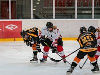DSC03617-1500
