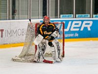 DSC03620-1500