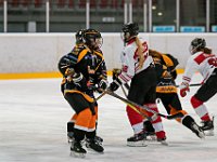 DSC03625-1500