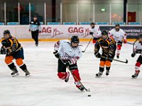 DSC03630-1500
