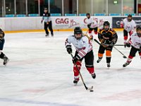 DSC03632-1500
