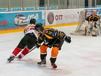 DSC03634-1500