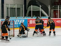 DSC03643-1500