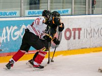 DSC03655-1500
