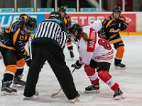 DSC03661-1500