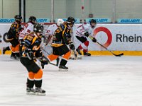 DSC03664-1500
