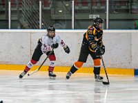 DSC03702-1500