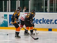 DSC03705-1500