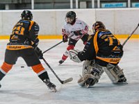 DSC03713-1500