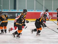 DSC03720-1500