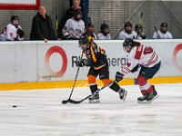 DSC03722-1500