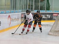 DSC03728-1500
