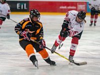 DSC03729-1500