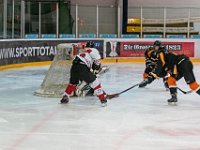 DSC03739-1500