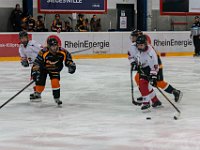 DSC03746-1500