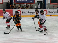 DSC03747-1500