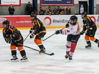 DSC03750-1500