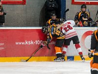 DSC03751-1500
