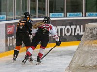 DSC03755-1500