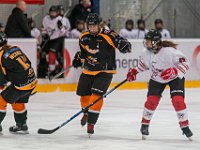DSC03771-1500