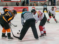 DSC03781-1500
