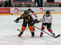 DSC03800-1500