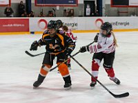 DSC03801-1500