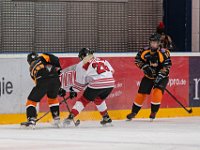 DSC03829-1500
