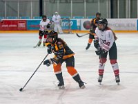 DSC03838-1500