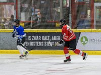 DSC03636-1500