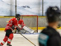 DSC03677-1500
