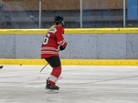 DSC03679-1500