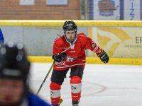 DSC03706-1500