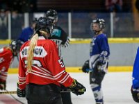 DSC03848-1500