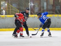 DSC03887-1500