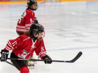 KEC Frauen 1c vs Herforder Ice Dragons 136-1500