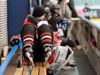 KEC Frauen 1c vs Herforder Ice Dragons 154-1500