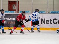 DSC03122-1250