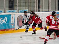 DSC03203-1250