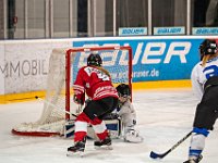 DSC03223-1250