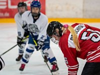 DSC03228-1250